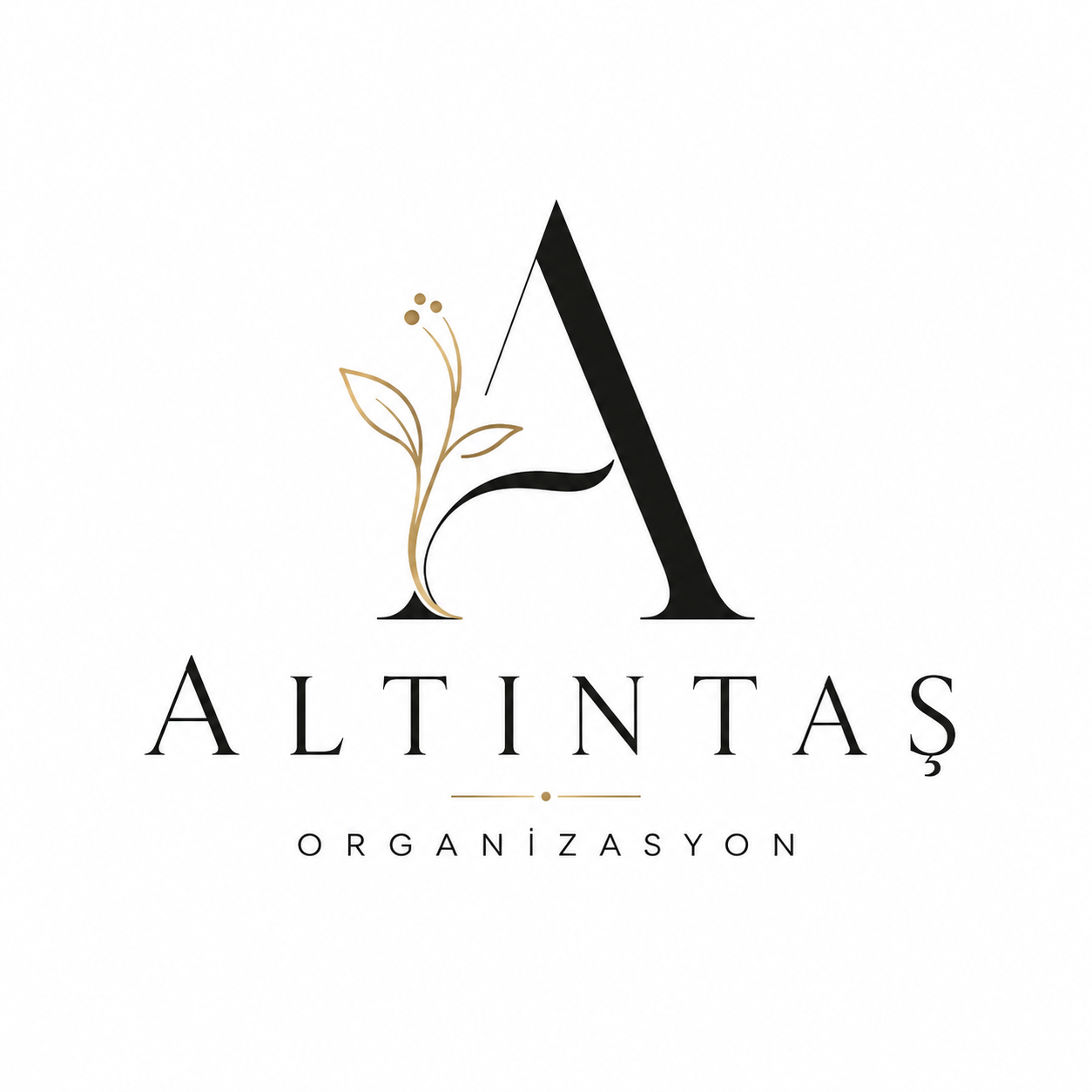 Altıntaş Organizasyon